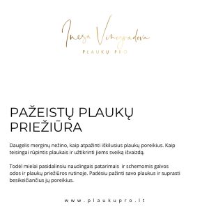 Pažeistų plaukų priežiūra žinynas